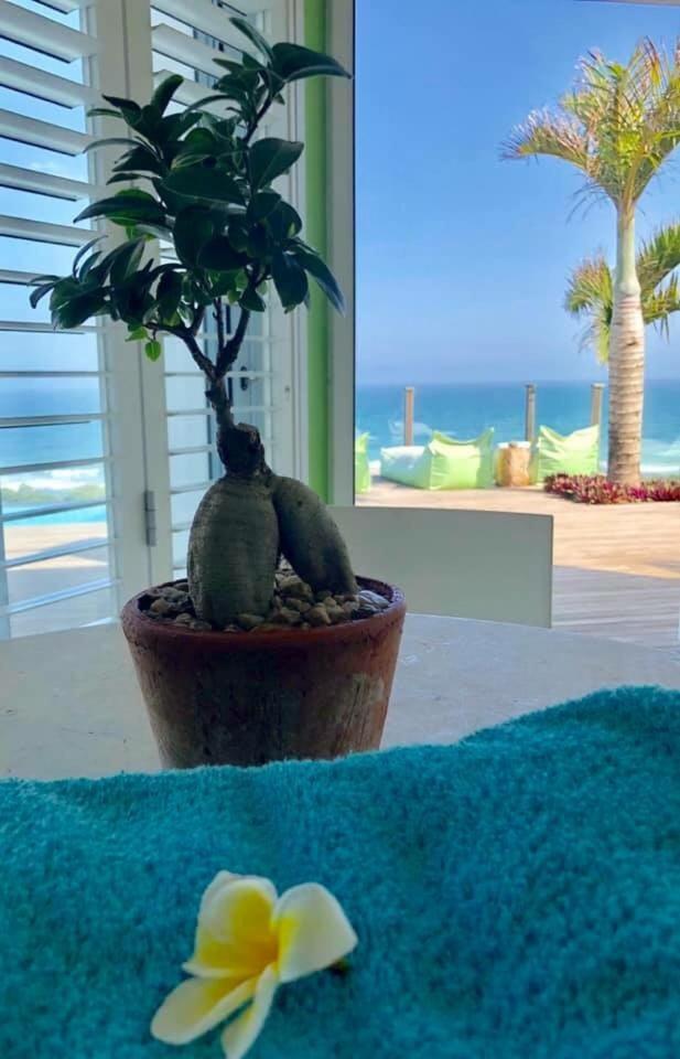 Nakai Beach Homestay Trafalgar Exteriér fotografie