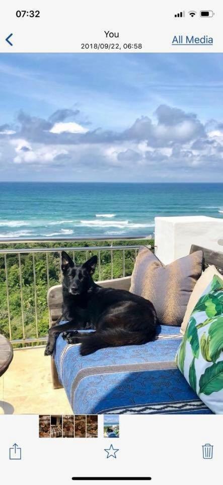 Nakai Beach Homestay Trafalgar Exteriér fotografie